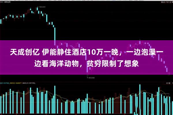 天成创亿 伊能静住酒店10万一晚，一边泡澡一边看海洋动物，贫穷限制了想象