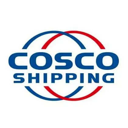 祥盛期权 中远海运集团海南区域总部正式揭牌成立